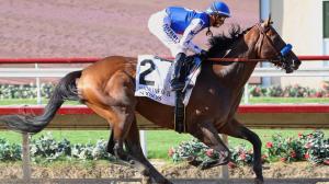 Nysos, Breeders’ Cup Classic, Breeders’ Cup Dirt Mile, San Diego Handicap, Triple Bend Stakes, Baoma, Bob Baffert, Flavien Prat, Journalism, Nyquist, breeding, pedigree, speed figure, Beyer, horse racing, ABR, trainer, jockey