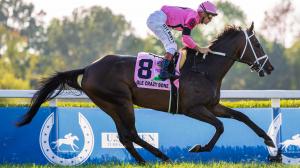 Ole Crazy Bone, Breeders’ Cup Turf, Win and You’re In, Kentucky Turf Cup, Kentucky Downs, Flavien Prat, Mike Maker, claimed, claiming, claimer, speed figure, pedigree, Ellis Park, horse racing, ABR