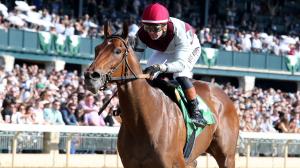 Chilukki Stakes, Churchill Downs, gambling, betting, Impel, Shred the Gnar, Brian Lynch, Luis Saez, Literate, Runaway Diva, Zadorsky, One Magic Philly, Brendan Walsh, Tyler Gaffalione, Ragtime, Bill Mott, Junior Alvarado, blinkers, horse racing, ABR