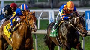 Kentucky Derby, Heating Up, Cooling Down, Risen Star Stakes, Sunland Park Derby, Paladin, Chip Honcho, Express Kid, Pavlovian, Al Haram, Awesome Gun, My World, Courting, Thunderously, Mesquite, Bill Mott, Chad Brown, horse racing, ABR