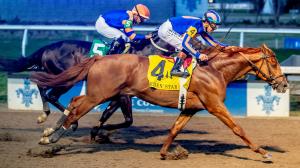 Paladin, Kentucky Derby, Risen Star Stakes, Fair Grounds, trainer, Chad Brown, owner, jockey, Tyler Gaffalione, speed figure, pedigree, Gun Runner, prospect, Remsen Stakes, colt, horse racing, ABR