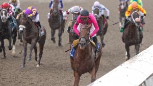 Plate Trial, King’s Plate, Woodbine, Call Me Sue, Scorching, Unbridled Weather, Sedburys Ghost, Regal Guest, Autobahn Ace, Watsonville Road, Dewolf, Forty N Five, Notorious Gangster, jockey, trainer, Casse, Carroll, Velazquez, Husbands, ABR