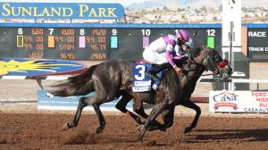 Pavlovian Edges Express Kid in Sunland Derby Thriller