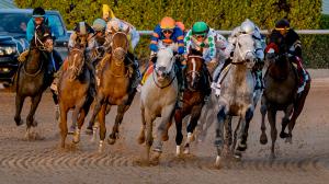 2026 Pegasus World Cup Cheat Sheet