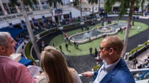 Pegasus World Cup, Gulfstream Park, betting, gambling, trifecta, picks, Disco Time, Full Serrano, Banishing, Skippylongstocking, Tappan Street, Poster, Captain Cook, Mika, White Abarrio, Brotha Keny, budget, horse racing, ABR