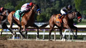 Equibase, earnings, The Puma, Tampa Bay Derby, Potente, San Felipe Stakes, British Isles, Santa Anita, Forced Entry, Santa Ysabel, trainer, jockey, North America, Brad Cox, Steve Asmussen, Saffie Joseph, Irad Ortiz, Flavien Prat, Tyler Gaffalione, ABR