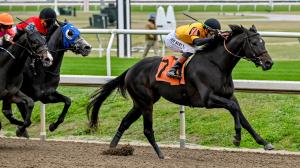 Blue Grass Stakes, Keeneland, Kentucky Derby, gambling, Talkin, Great White, Reagan’s Honor, Creole Chrome, Further Ado, Moonstrocity, Ottinho, DeVaux, jockey, Ortiz, trainer, Cox, Ennis, Achard, horse racing, ABR