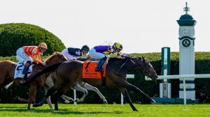 Bryan Station Stakes, Keeneland, turf, Blackout Time, McCready, Blinging It Back, Bottas, Infiltrate, Conducted, Remember Mamba, Aces Honor, Fancy Sailor, Immortalised, Touch of Fire, Alpyland, Casse, DeVaux, betting, gambling, horse racing, ABR