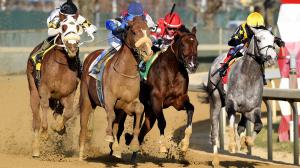 Remsen Stakes, Aqueduct, Kentucky Derby, trifecta, betting, gambling, horse racing, Paladin, Flavien Prat, Renegade, Talkin, Courting, Curlin, pedigree, Cavorting, prep, ABR