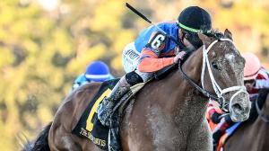 Renegade, Kentucky Derby, Sam F. Davis Stakes, Tampa Bay Downs, Irad Ortiz, Repole Stable, Todd Pletcher, jockey, trainer, speed figure, pedigree, sire, Into Mischief, Spice Is Nice, racehorse, Beyer, Remsen Stakes, horse racing, ABR