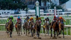 Golden Tempo the Pick Over Paladin in Risen Star Stakes