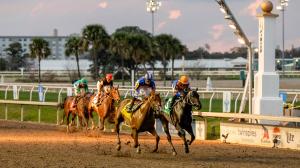 Derby Dozen, King, BloodHorse, horse racing, Triple Crown, Paladin, Further Ado, Nearly, Silent Tactic, Brant, Litmus Test, Plutarch, Renegade, Golden Tempo, Blackout Time, Canaletto, Commandment, ABR