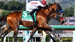 Kentucky Derby, Derby Dozen, BloodHorse, Byron King, Reagan’s Honor, Potente, The Puma, Canaletto, Further Ado, Renegade, Silent Tactic, Class President, Chief Wallabee, Nearly, Commandment, Paladin, horse racing, ABR