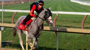 Sandman, West Point Thoroughbreds, Mark Casse, West Point Thoroughbreds, Terry Finley, owner, trainer, Preakness Stakes, Sovereignty, Tony Schino, coach, training, Griffin Johnson, blinkers, ABR