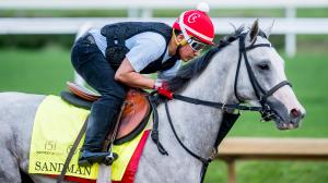 Sandman, Jim Dandy Stakes, Saratoga, Sovereignty, Arkansas Derby, Preakness Stakes, racehorse, Griffin Johnson, social media, influence, influencer, fan favorite, Kentucky Derby, gray, colt, ABR
