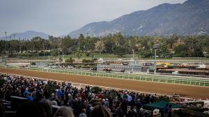 Santa Anita Park, Breeders’ Cup, preps, Win and You’re In, horse racing, racetrack, history, record, trainer, Bob Baffert, Beholder, Zenyatta, D. Wayne Lukas, Steve Martinelli, weather, surface, dirt, turf, training, juvenile, Citizen Bull