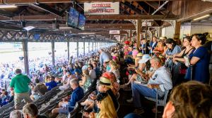 TV, television, radio, FOX, FOX Sports, FS1, FS2, Belmont Stakes, Saratoga, Churchill Downs, Gulfstream Park, Santa Anita Park, FanDuel TV, HRRN, Byk, RTN, streaming, Triple Crown, horse racing, ABR