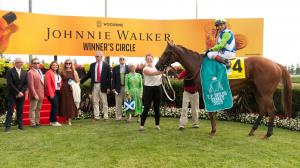 Equibase, rankings, standings, earnings, leaderboard, She Feels Pretty, E. P. Taylor Stakes, racehorses, trainers, jockeys, Nitrogen, Alabama Stakes, Irad Ortiz Jr., Mark Casse, horse racing, North America, ABR