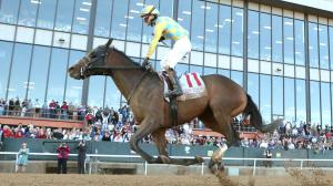 2026 Kentucky Derby Prospect Profiles: Southwest Stakes Winner Silent Tactic 