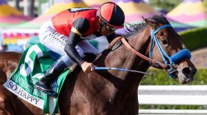 So Happy, Santa Anita Derby, Kentucky Derby, horse racing, Mark Glatt, Norman Stables, Saints or Sinners, trainer, owner, jockey, Mike Smith, San Vicente Stakes, San Felipe Stakes, Runhappy, Leverett Miller, pedigree, speed figures, running style, ABR