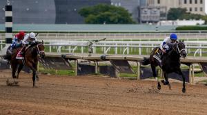Fountain of Youth Stakes, Gulfstream Park, Kentucky Derby, gambling, Jackson Hole, Rockies Balboa, Commandment, Bravaro, Chief Wallabee, Napoleon Solo, Bull by the Horns, Global Aviator, Solitude Dude, Lost Money, trainer, jockey, horse racing, ABR