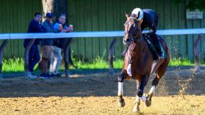 2026 Stephen Foster Stakes, Churchill Downs, Breeders' Cup Classic, Sovereignty