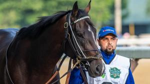 Kentucky Derby Winner Sovereignty to Stay in Training and Race in 2026