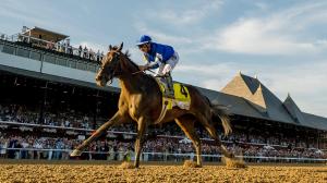 2025 Longines Breeders Cup Classic, Sovereignty, Fierceness, Sierra Leone, Mindframe, Forever Young, Journalism, Baeza, Antiquarian, Locked, Highland Falls