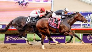 Santa Anita Sprint Championship, Santa Anita Park, Straight No Chaser, Dr. Venkman, Awesome Rhythm, Smooth Cruisein, Speed Boat Beach, Wound Up, Mbagnick, Imagination, Baffert, Blacker, Glatt, trainer, jockey, Hernandez, Velazquez, Rispoli, ABR