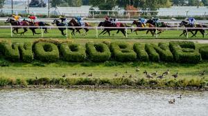 Summer Stakes, Glance, Breeders’ Cup, Juvenile Turf, Big Money Man, Let Em Know, Oscar, Bounce Back, Play It Again, Nicki Knows Best, Quipster, Sword Salute, Al Hudaiba, Voyager, Speaker’s Speech, Induction, jockey, trainer, horse racing, ABR