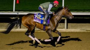  Breeders’ Cup, Juvenile Fillies, filly, fillies, gambling, exacta, betting, Super Corredora, John Sadler, Iron Orchard, Bottle of Rouge, longshot, Meaning, Percy’s Bar, Tommy Jo, Explora, La Wally, Del Mar, Gun Runner, horse racing, ABR