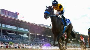 Zenyatta Stakes, Santa Anita, Breeders’ Cup, Distaff, Sprint, Sprint Championship, Super Corredora, John Sadler, Joel Rosario, trainer, jockey, Majestic Oops, Listenupshance, Doug O’Neill, Emisael Jaramillo, horse racing, ABR