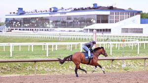 An Early Look at the Probable Field for the 2026 Preakness Stakes