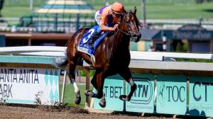 Equibase, earnings, standings, leaderboard, owners, horses, jockeys, trainers, Tommy Jo, Ted Noffey, Rhetorical, Tamara, Spendthrift, John Velazquez, Keeneland, Todd Pletcher, Brendan Walsh, Chad Brown, Breeders’ Cup, ABR