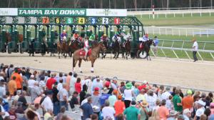Radio, TV, television, horse racing, broadcast, Tampa Bay Derby, Azeri Stakes, Thorpedo Anna, Tampa Bay Downs, Oaklawn Park, Aqueduct, Gulfstream Park, Santa Anita Park, Turfway Park, RTN, HRRN, Steve Byk, FOX Sports, FS2, NYRA, FanDuel TV