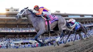 Ted Noffey Caps Perfect 2-Year-Old Campaign with Breeders’ Cup Juvenile Victory