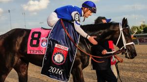 Woodbine Mile, winners, legends, horse racing, Hall of Fame, champion, Eclipse Award, Tepin, Prized, Wise Dan, Skip Away, Dance Smartly, turf, history, Molson, trainer, LoPresti, Drysdale, Hine, Casse, ABR