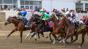 Preakness Stakes, Glance, Laurel Park, Taj Mahal, Ocelli, Crupper, Robusta, Talkin, Chip Honcho, The Hell We Did, Bull by the Horns, Iron Honor, Napoleon Solo, Corona de Oro, Incredibolt, Great White, Pretty Boy Miah, jockey, trainer, horse racing, ABR