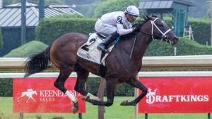 Saratoga, Kentucky Derby, juvenile, 2-year-old, prospect, trainer, Brad Cox, Todd Pletcher, maiden, Bill Mott, Sovereignty, Renegade, Further Ado, The Good Life, Powerline, Secretariat, Affirmed, Easy Goer, Mark Casse, Chad Brown, Man o’ War, ABR