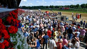 Horse racing, fans, gamblers, gambling, promotion, promote, industry, racetrack, horses, Griffin Johnson, influencer, social media, Nick Tammaro, Mike Smith, jockey, Acacia Clement, TV, NYRA, marketing, survey, BloodHorse, ABR