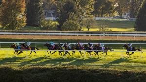 Keeneland Race Course, gambling, betting, handicapping, horseplayer, jockey, trainer, turf, dirt, speed, pace, closer, stalker, percentage, win, Irad Ortiz, Brad Cox, Luis Saez, Tyler Gaffalione, Jose Ortiz, Rusty Arnold, Wesley Ward, Rodolphe Brisset