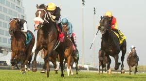 Summer Stakes, Woodbine, Win and You’re In, Breeders’ Cup, Juvenile Turf, turf, Argos, Bill of Ice, Casson, Jupiter, Marcus J, Rude Procedure, Teddy’s Rocket, Thesecretadversary, Timeframe, Two Out Hero, Wild Desert, Military Time, ABR