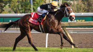 Two Out Hero Poised for a Winning Effort in John Battaglia Stakes