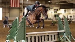  Thoroughbred Makeover Diary: Summer Fun and New Experiences for Teddy Spaghetti
