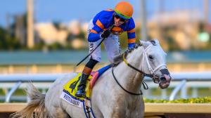 White Abarrio: Remarkable Racing Career Gives Way to a New Chapter