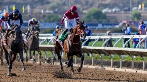 Breeders’ Cup Classic, Keeneland, Forever Young, Sovereignty, Magnitude, Knightsbridge, Golden Tempo, Napoleon Solo, The Puma, Phileas Fogg, horse racing, ABR
