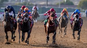 Forever Young, Breeders' Cup Classic, Keeneland, Breeders' Cup, horse racing, America's Best Racing, ABR