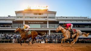 Pegasus World Cup, Skippylongstocking, White Abarrio, Gulfstream Park, America's Best Racing, ABR, horse racing