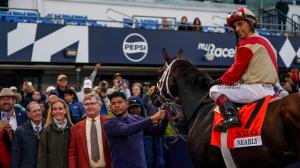 Nearly, Paladin, 2026 Kentucky Derby, NTRA 3-year-old poll, Triple Crown
