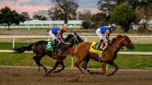 2026 Kentucky Derby, Triple Crown, Paladin, Nearly, NTRA 3-year-old poll, ABR, America's Best Racing, Triple Crown, horse racing